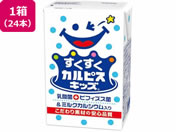 �G���r�[/���������J���s�X�L�b�Y 24�{