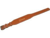 TOEI LIGHT �g�[�G�C���C�g �E�G�C�g�g���[�j���O�x���g M�T�C�Y