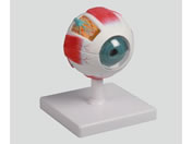 �A�Y���� �ዅ6�������f�� 100�~100�~120 8-8315-01