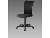 �T�����T�v���C �r�W�l�X�`�F�A�[ EA956XC-21