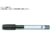 OSG/VP�j���[���[���^�b�v 8317493 VP-NRT-B-STD1-M2.6 X 0.45 8317493