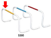 �[�b�g/�~�j�n�[�h��30(5���)�C�G���[/ZS3312-5300