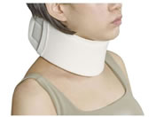 ���{�q��/�G�[�X�J���[�\�t�g(LL) NE-254(1�R�C��)