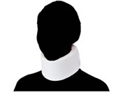 ���{�q��/�G�[�X�J���[�\�t�g(M)01-6085-02 NE-252(1�R�C��)