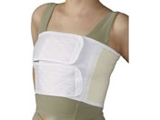 ���{�q��/�_�C���t�B�N�XII�^(M NE-622(20X95CM)