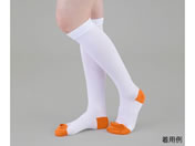 �A�Y����/�e���X�g�b�L���O(�R�b�g��)�n�C�\�b�N�X SS/9-1069-01