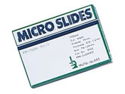 �������w/�X���C�h�O���X �X�^�[�t���X�g���ؕ� �X���C�h�K���X 10-2756-08 5155(100�}�C)�O���[��