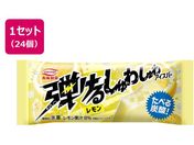 ۉi/e邵킵ACXo[ 90ml~24