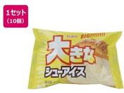 �A���h�h��/�傫�ȃV���[�A�C�X 1�~10��