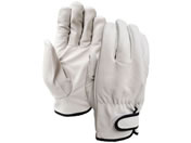 �����ӂ����/���ȃ^�C�v �� LL 3�o�g