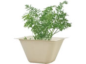 V|/oKXO[ ~jLbg/93231