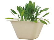 V|/oKXO[ T_zE\E/93233