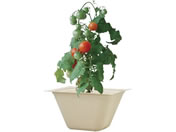 V|/oKXO[ ~jg}g/93235