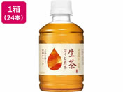 �L����/���� �ق������� �z�b�g&�R�[���h 280ml�~24�{