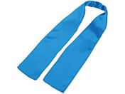 A[ebN/\tgTe XJ[t /18858