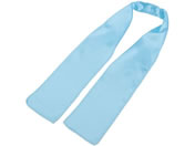 A[ebN/\tgTe XJ[t /18860