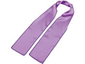 A[ebN/\tgTe XJ[t /18861