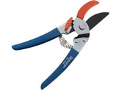 �T�{�e�� �A���r���^������R