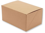 �V���W�}/�l�I�N���t�g �P�[�LBOX 12�~18 20��/4248402