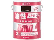 �J���y�n�s�I �����c�����茚���pPRO ��������F 3L