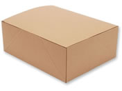 �V���W�}/�l�I�N���t�g �P�[�LBOX 19�~24 20��/4248404