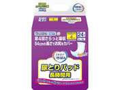 J~/GA ΂AƂpbh ԗp 24