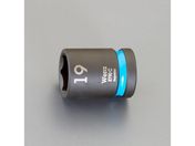 �G�X�R/1�^2DRx19mm �C���p�N�g�\�P�b�g/EA164DY-119