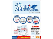 ヒサゴ/マルチプリンタ帳票 A4 ブルー 2面 4穴 100枚/BP2041