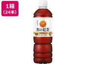 ATq a̍gACXeB[ 500mL 24{
