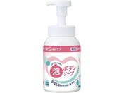 CInCW[ LION͂҃PAA{fB\[v500mL