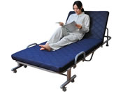 �t�@�~���[�E���C�t/���[�����N���C�j���O�x�b�h �Z�~�V���O�� �l�C�r�[/a3545820