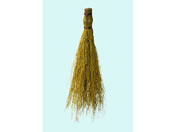 ���c��/�~�j�|�ق��� �\�t�g ��/54526