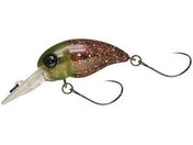 �W���b�J�� EGG NUTS #�ԃ`���R�G�b�O