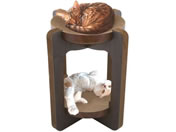 �L�� �o���o���{�E���^���[�_�[�N�u���E�� DC-0852-DB