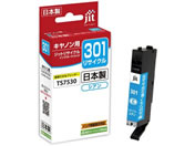 G)Wbg/Lm BCI-301C VA TCNCN/JIT-C301C