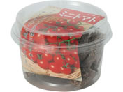 A[ebN Ă₳ g}g 102990