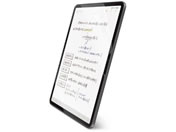 GR/11C` iPadPro M4 tB p/TB-A24PMFLAPNH