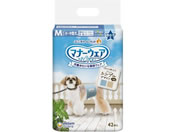 ���j�E�`���[��/�}�i�[�E�F�A �j�̎q �X�g���C�v�W�[���Y M 42��