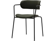 �A�X�v�����h �z�A�J�`�F�A �A�C�r�[�O���[�� 501772