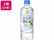 ATq/ VR 炾ސ 600mL 24{
