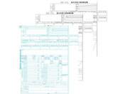 OBC 򒥎[3P 100Zbg 6009-A25