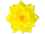 �T�T�K�� ���{���o������ �� �� �^���Ȃ� �Ԍa95mm 12��