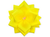 �T�T�K�� ���{���o������ �� �� �^���Ȃ� �Ԍa70mm 20��