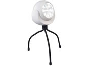 g[h/lZT[Cg ݏƂ炷 zCg/30555