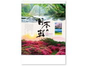 �V���{�J�����_�[ ���{�̒� NK8137