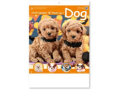 �V���{�J�����_�[ �T���L���[�E�h�b�O NK8454