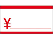 �T�T�K��/�A�h�e�[�v �v���C�X �� 815��/21-13