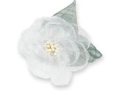 �A�[�e�b�N/�R�T�[�W�� ���[�X�t�����[ �z���C�g/118867