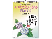 V{J_[ SCɂȂ߂ NK8656