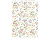 �T�T�K��/���� ���}�l�X�N 215�~290mm 200��/50-1705